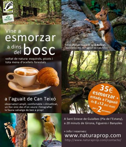 <p>Lorem ipsum dolor sit amet, consectetur adipiscing elit. Duis sapien magna, cursus vel cursus a, ultrices ut sapien. Quisque lacinia congue urna. Lorem ipsum dolor sit amet, consectetur adipiscing elit. Cras mauris enim, blandit ac tortor id, placerat dictum turpis. Ut pellentesque quam metus, at dapibus sem vestibulum eu. Proin vel condimentum arcu. Fusce eu pellentesque lectus. In eget iaculis erat. Nam sit amet imperdiet est, non luctus enim. Morbi ut egestas turpis, vitae vestibulum felis. Aliquam eu laoreet turpis.</p>
<p>In non ante congue, viverra erat sed, pulvinar augue. Proin tincidunt et augue quis tempus. Vivamus sed turpis hendrerit, egestas justo sed, gravida ipsum. Duis accumsan dignissim eros, in consequat lacus euismod vitae. Cras ac finibus ante. Proin magna velit, luctus eget vehicula sed, dignissim id urna. Vivamus ac mauris libero. Donec sed lobortis libero. Cras finibus leo lacinia odio tincidunt porta. Suspendisse luctus ultricies rutrum. Vestibulum eu eleifend nunc, eu venenatis dolor. Ut tempus fringilla suscipit. Phasellus nec odio eget risus suscipit tempor. Sed luctus, neque in accumsan vestibulum, dui ante laoreet nibh, nec ullamcorper purus ligula sit amet nisl. Morbi interdum odio ac mi pretium interdum.</p>
<p>Fusce risus nisi, ultricies ac arcu vel, dignissim venenatis turpis. Curabitur egestas massa mauris, sagittis finibus lectus sagittis vitae. Nullam ornare nisl non dolor laoreet, sit amet cursus tortor luctus. Nam molestie malesuada elit vitae efficitur. Phasellus in nibh ultricies, tincidunt massa et, congue mi. Nullam eget aliquet mi, rhoncus euismod lectus. Nunc sollicitudin, risus sit amet tincidunt dapibus, lacus tortor dictum lacus, in pharetra massa neque non sapien. Vestibulum at sapien rhoncus, viverra ipsum vitae, ornare enim. Curabitur quis aliquam metus. Donec fringilla auctor libero, sit amet ultrices massa porttitor sed. Quisque euismod molestie neque, vel blandit nibh sollicitudin eu. Curabitur iaculis vitae lorem sed pulvinar. Aenean neque ex, hendrerit id risus sagittis, pretium congue nulla.</p>